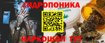 крисы Вязники