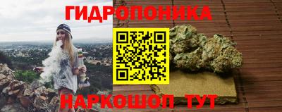 дмт Вышний Волочёк