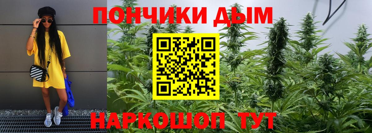 Канабис OG Kush  Шишки марихуана план  Каннабис Bruce Banner  Кандалакша  Вход с VPN  Марихуана конопля 